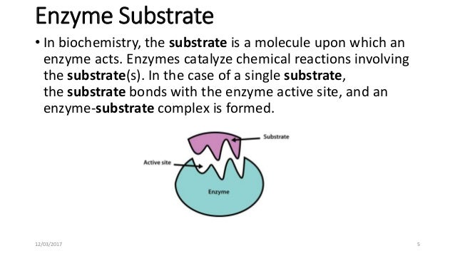 Enzyme substrate complex diagram of enzyme reaction involving 