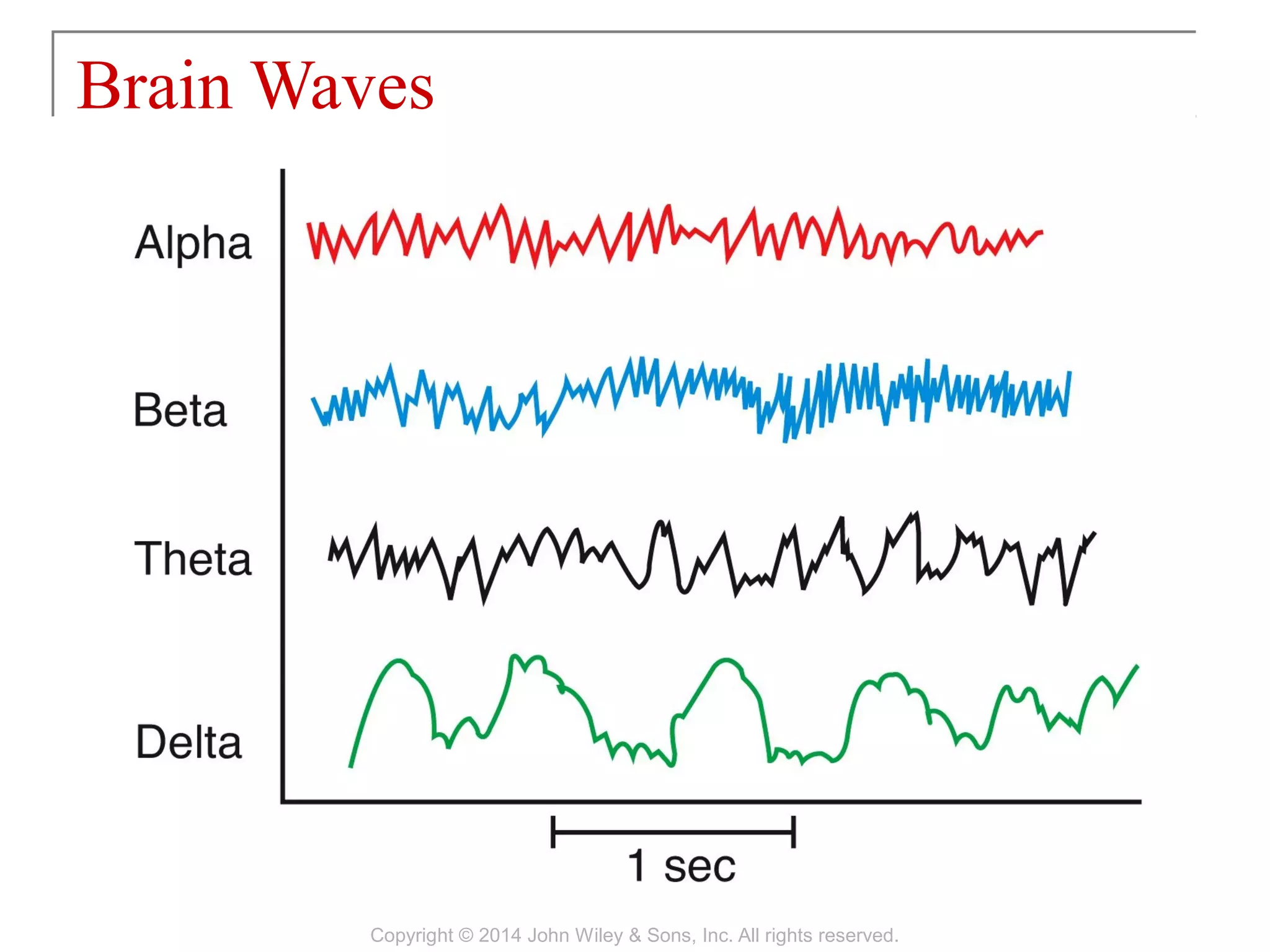 Brain Waves
Copyright © 2014 John Wiley & Sons, Inc. All rights reserved.
 