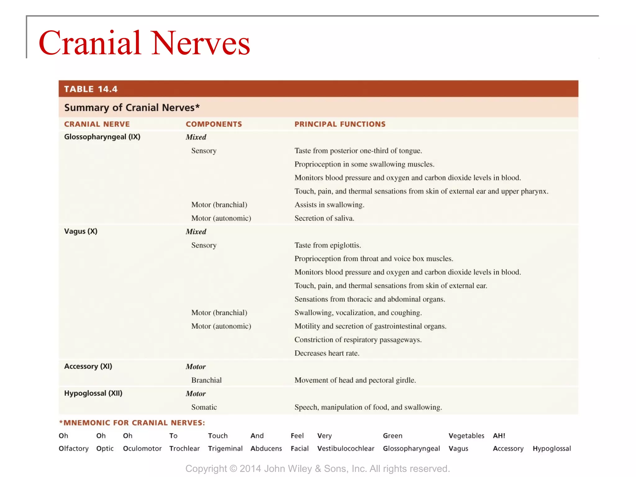 Cranial Nerves
Copyright © 2014 John Wiley & Sons, Inc. All rights reserved.
 