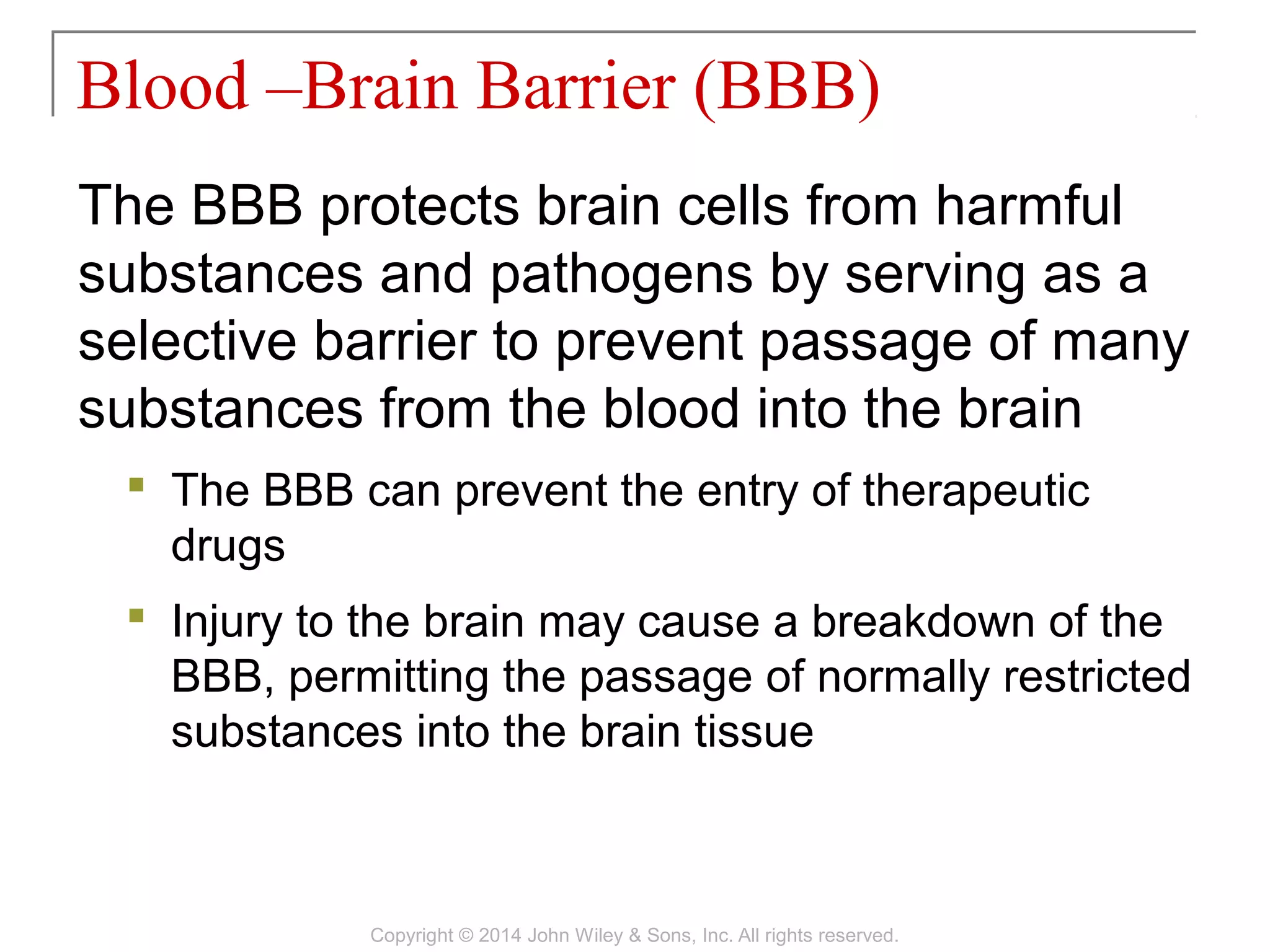 The BBB protects brain cells from harmful
substances and pathogens by serving as a
selective barrier to prevent passage of many
substances from the blood into the brain
 The BBB can prevent the entry of therapeutic
drugs
 Injury to the brain may cause a breakdown of the
BBB, permitting the passage of normally restricted
substances into the brain tissue
Blood –Brain Barrier (BBB)
Copyright © 2014 John Wiley & Sons, Inc. All rights reserved.
 