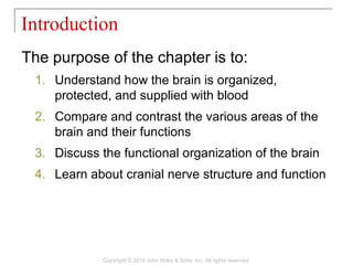 14 [chapter 14 the brain and cranial nerves] | PPT
