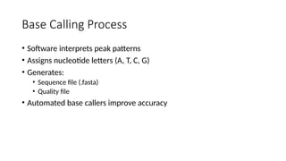 Comprehensive Overview of DNA Sequencing Chromatograms and Their ...