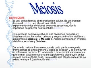 DEFINICION:

es una de las formas de reproducción celular. Es un proceso
divisional celular , en el cuál una célula diploide (2n),
experimentará dos divisiones celulares sucesivas, con la
capacidad de generar cuatro células haploide.

Este proceso se lleva a cabo en dos divisiones nucleares y
citoplasmáticas, llamadas, primera y segunda división meiótica o
simplemente Meiosis I y Meiosis II. Ambas comprenden Profase,
Metafase, Anafase y Telofase.

Durante la meiosis I los miembros de cada par homólogo de
cromosomas se unen primero y luego se separan y se distribuyen
en diferentes núcleos. En la Meiosis II, las cromátidas hermanas
que forman cada cromosoma se separan y se distribuyen en los
núcleos de las células hijas. Entre estas dos etapas sucesivas no
existe la etapa S (duplicación del ADN).
 
