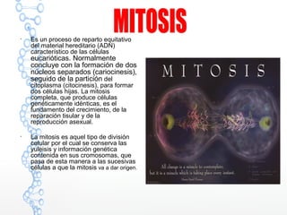 
Es un proceso de reparto equitativo
del material hereditario (ADN)
característico de las células
eucarióticas. Normalmente
concluye con la formación de dos
núcleos separados (cariocinesis),
seguido de la partición del
citoplasma (citocinesis), para formar
dos células hijas. La mitosis
completa, que produce células
genéticamente idénticas, es el
fundamento del crecimiento, de la
reparación tisular y de la
reproducción asexual.

La mitosis es aquel tipo de división
celular por el cual se conserva las
yuleisis y información genética
contenida en sus cromosomas, que
pasa de esta manera a las sucesivas
células a que la mitosis va a dar origen.
 