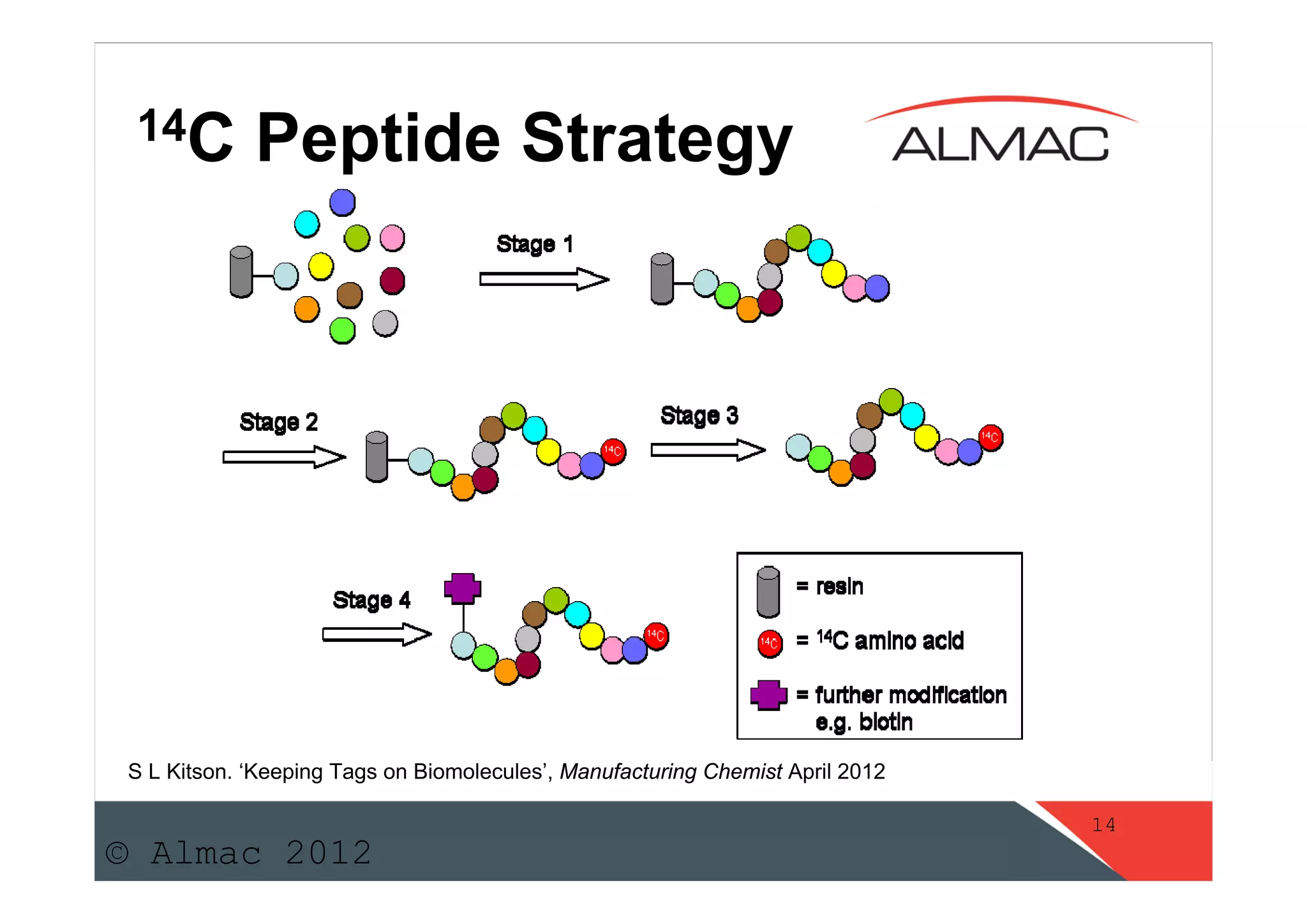 14C Labelled Peptide API\'s by Sean Kitson | PDF | Chemistry | Science