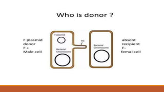 DPT - Conjugation, transduction and transformation | PPTX