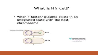 DPT - Conjugation, transduction and transformation | PPTX