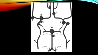 Guidelines for the Management of Aneurysmal Subarachnoid Hemorrhage | PPTX