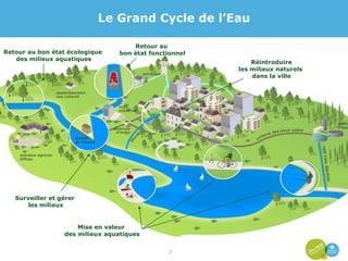 Le Grand Cycle de l’Eau Retour au bon état écologique  des milieux aquatiques Réintroduire les milieux naturels  dans la ville Surveiller et gérer  les milieux Mise en valeur  des milieux aquatiques Retour au  bon état fonctionnel 