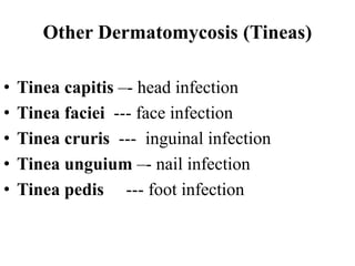 (14)Dermatomycosis Unit VI.pptx