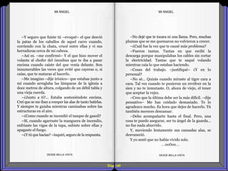 Diap 140
–Y seguro que fuiste tú –evoqué– el que desvió
la patas de los caballos de aquel carro cuando,
corriendo con la chata, crucé entre ellas y vi sus
herraduras cerca de mi cabeza.
–Así es. –me confirmó– Y el que hizo mover el
volante al chofer del ómnibus que te iba a pasar
encima cuando caíste del que venía delante. Son
innumerables las veces que evité que cayeras o, si
caías, que te mataras al hacerlo.
–Me imagino –dije irónico– que estabas junto a
mí cuando arreglaba las lámparas de la iglesia a
doce metros de altura, colgando de un débil tabla y
una vieja cuerda.
–¿Junto a ti?... Estaba sosteniéndote encima.
Creí que se me iban a romper las alas de tanto batirlas.
Y siempre te guiaba mientras caminabas sobre las
estructuras en el aire.
–¿Como cuando se incendió el tanque de gasoil?
–Sí, cuando agarraste la manguera de incendio,
enfriaste las vigas de la tapa, subiste sobre ellas y
apagaste el fuego.
–¿Y tú que hacías? –inquirí,segurode la respuesta.
DESDE BELLA VISTA DESDE BELLA VISTA
–No dejé que te tocara ni una llama. Pero, muchas
plumas que se me quemaron no volvieron a crecer.
–¿Cuál fue la vez que te causé más problema?
–Fueron tantas. Tantas en que recibí la
descarga porque manipulabas los cables sin cortar
la electricidad. Tantas que te saqué volando
mientras caía lo que estabas haciendo.
–Cosas del trabajo. –justifiqué– ¿Y en lo
personal?
–No sé... Quizás cuando miraste al tigre cara a
cara. Tal vez cuando te pusieron un revólver en la
sien y no te inmutaste. O, ahora de viejo, el tener
que aceptar la vejez.
–Creo que la última debe ser la más difícil. –dije
pensativo– Me has cuidado demasiado. Te lo
agradezco mucho. Es hora que dejes de hacerlo. Tú
también mereces descansar.
–Debo acompañarte hasta el final. Pero, una
cosa te puedo asegurar, ser tu ángel de la guarda…
no fue nada aburrido.
Y, moviendo lentamente sus cansadas alas, se
desvaneció.
Y yo sentí que no había vivido solo.
…oo0oo…
MI ÁNGELMI ÁNGEL
 