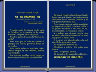 Diap 171
DESDE BELLA VISTA
EL CHANCHO
DESDE BELLA VISTA
Barraca de verdad era la de Serra en la calle
Prusia, cerca de Grecia, que tenía grandes
cantidades de cal, cemento, cabillas, y de
todo para construir una casa.
Pero, cuando nuestros padres necesitaban
un poquito de portland, o una sola varilla, o
un pedazo de cabilla, o una latita de cal,
nos mandaban a la “barraca de arriba”.
Y el gallego, que siempre parecía estar
sin afeitar, nos daba el cemento en un trozo
de papel de la misma bolsa.
O la cal en una lata golpeada en la cual
sólo faltaba agregarle el agua.
No nos gustaba mucho ir allí.
El gallego, la señora y los botijas eran
buenos.
Pero… el lugar olía feísimo.
Es que detrás del galpón, bien al fondo…
¡Criaban un chancho!
Ese triste momento que el niño
comienza a ser hombre.
(Presentación anterior Nº 31)
62 EL CHANCHO (U)
Hecho real sucedido en 1938
A media cuadra de mi casa, yendo hacia
la Fortaleza, en la esquina de las calles
Barcelona y Bogotá, había un galpón.
Nuestros padres le decían la “barraca de
arriba”
Pero, creo que era solo por aprecio al
gallego y a su familia; que vivían detrás, en
un rancho.
Todo estaba hecho con materiales viejos,
usados, chapas de cinc oxidadas, puertas
desvencijadas.
Con ventanas torcidas, y todo puesto en
forma tal que evidenciaba poca habilidad.
 