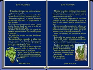 Diap 18
GATOS Y ALBAHACASGATOS Y ALBAHACAS
DESDE BELLA VISTA DESDE BELLA VISTA
Mi familia protesta por que les doy de comer,
a los gatos, carne cruda.
Dicen que los tengo mal acostumbrados. Que
hay alimentos especiales, y artificiales, para ellos.
Prefiero no responder. Yo también encuentro
muchas cosas especiales, y ya preparadas, en el
supermercado.
Pero, me gusta comer un queso común y tomar
un vino barato. Quizás por que no olvidé mi
inicio. O me parezco a la gata.
El ritual del amanecer sigue con agarrar dos
macetitas. En cada una hay tres o cuatro plantas
de albahaca.
En realidad las macetas son vasos desechables,
ésos de plástico.
Las plantitas fueron compradas en la feria, hace
como dos meses. Pero, al traerlas al apartamento,
las vi tan tiernas, tan pequeñas, tan lindas y
suaves, que sentí afecto por ellas.
Y, en lugar de cortarlas para un
pesto, dividí el paquete en dos,
poniéndolas en esos vasos.
Como traían las raíces envueltas
en tierra, se amoldaron enseguida.
Y comenzaron a crecer en juvenil
competencia.
Mientras los vecinos mostraban finas macetas
con plantas de flores, yo tenía dos vasos baratos
donde las albahacas se erguían esbeltas junto al
vidrio que cerraba la terraza..
Todas las mañanas, luego de darles su carne a
los gatos, las tomo con delicadeza y las llevo a la
pileta de la cocina para pasarlas bajo un hilito de
agua.
Y, colocándolas horizontalmente, refresco sus
hojas en el cuenco de mi mano izquierda,
mientras con la derecha giro el vaso que ya no
tiene tierra sino un aglomerado de raíces.
Luego las paro para que escurran el agua en
exceso.
Debo cuidar que se mantengan en equilibrio.
Han crecido tanto, y tan delgadas, que la base
ya le es pequeña y caen facilmente.
Y, no sé por qué… me recuerdan mi juventud.
Las llevo nuevamente contra
la ventana de la terraza. Y allí
quedan, disfrutando del sol.
Cierta vez observé que el vidrio
se empañaba alrededor de ellas.
Comprendí. Respiraban...
Eran seres vivos…
Y me sentí bien.
 