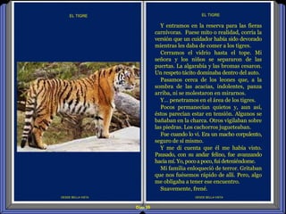 Diap 59
DESDE BELLA VISTA
Y entramos en la reserva para las fieras
carnívoras. Fuese mito o realidad, corría la
versión que un cuidador había sido devorado
mientras les daba de comer a los tigres.
Cerramos el vidrio hasta el tope. Mi
señora y los niños se separaron de las
puertas. La algarabía y las bromas cesaron.
Un respeto tácito dominaba dentro del auto.
Pasamos cerca de los leones que, a la
sombra de las acacias, indolentes, panza
arriba, ni se molestaron en mirarnos.
Y… penetramos en el área de los tigres.
Pocos permanecían quietos y, aun así,
éstos parecían estar en tensión. Algunos se
bañaban en la charca. Otros vigilaban sobre
las piedras. Los cachorros jugueteaban.
Fue cuando lo vi. Era un macho corpulento,
seguro de sí mismo.
Y me di cuenta que él me había visto.
Pausado, con su andar felino, fue avanzando
hacia mí. Yo, poco a poco, fui deteniéndome.
Mi familia enloqueció de terror. Gritaban
que nos fuésemos rápido de allí. Pero, algo
me obligaba a tener ese encuentro.
Suavemente, frené.
EL TIGRE
DESDE BELLA VISTA
EL TIGRE
 