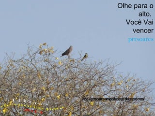 Olhe para o
alto.
Você Vai
vencer
prrsoares

 