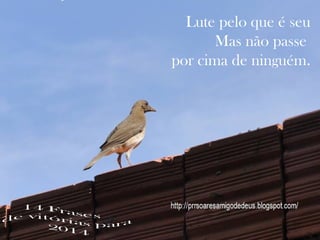 Lute pelo que é seu
Mas não passe
por cima de ninguém.

 