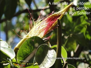 A mais alta das vitórias
é o perdão.
Friedrich Von Schiller

 