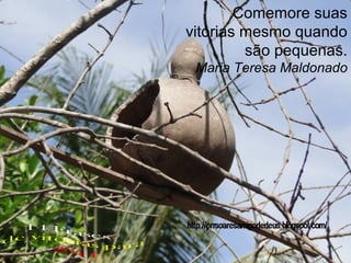 Comemore suas
vitórias mesmo quando
são pequenas.
Maria Teresa Maldonado

 