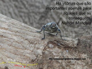 Há vitórias que são
importantes apenas para
aqueles que as
conseguem.
Nelson Mandela

 