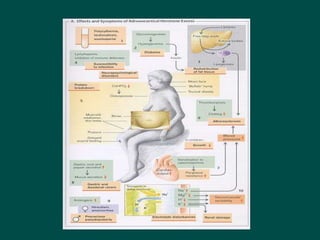 14 Disorders_of_endocrine_system and possible causes.ppt