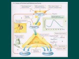 14Disorders_of_endocrine_system signs and symptoms .ppt