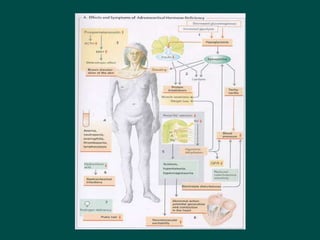 14Disorders_of_endocrine_system signs and symptoms .ppt