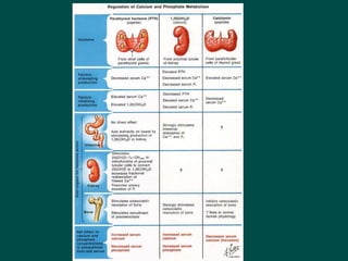 14Disorders_of_endocrine_system signs and symptoms .ppt