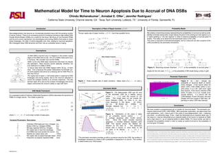 Mathematical Model for Time to Neuron Apoptosis Due to Accrual of DNA DSBs
Chindu Mohanakumar3, Annabel E. Offer2, Jennifer Rodriguez1
1
California State University, Channel Islands, CA 2
Texas Tech University, Lubbock, TX 3
University of Florida, Gainesville, FL
Introduction
Neurodegeneration has become an increasingly prevalent issue with the growing number
of senior citizens. There is an increasing amount of evidence pointing to age-related DNA
Double Strand Breaks (DSBs) as a culprit for this issue. We focus on non-transient DSBs
and the error-prone mechanism non-homologous end joining (NHEJ) that exists to repair
these breakages, the latter of which degrades over time, leading to neuronal apoptosis.
We investigate these DSB dynamics and their role as a possible cause of aging.
Assumptions
DSB
Ku70/80
DNA-PKcs
autophosphorylation
of DNA-PKcs
Non-transient
repair pathway
Transient
repair pathway
k1 = 350/hr
k2 = 500/hr
k3 = 14.3/hr
k4 = 0.23/hr k5 = 3.75/hr
-A DNA DSB is harmful only if it happens in the protein coding
region of the DNA (this is only 1.5% of 3.2 billion base pairs (b.p.)
in humans). We consider only harmful DSBs.
-NHEJ is the only DSB repair mechanism that does not require
cell replication. Most neurons cannot replicate; therefore, the
only method to ﬁx DSBs is NHEJ.
-A neuron dies when two DSBs happen within 20 b.p. of each
other. This is because the protein heterodimer Ku70/Ku80 can-
not bind properly and serve as a docking site for DNA-PKcs on
less than 20 b.p.
-Per capita rate of repair (α) will initially spike in response to DNA
breakages and wrong repairs, due to the neuron’s attempts to
control the problem (similar to an immune response). The rate
will then taper off to zero as the number of breakages and wrong
repairs overcomes the neuron’s ability to cope with them.
ODE Model Framework
Our proposed model of Ordinary Differential Equations (ODEs) describes the dynamics of
DSBs in a single neuron. The model is given by:
dU
dt
= −bU + pBα(B, W) (1)
dB
dt
= bU − Bα(B, W) (2)
dW
dt
= (1 − p)Bα(B, W) (3)
where N = U + B + W is the total number of base pairs.
Variables/Parameters Description Units
U Unbroken DNA base pair (b.p.) linkages b.p.
B Broken DNA b.p. linkages (DSBs) b.p.
W Wrongly repaired DNA b.p. linkages b.p.
b Per capita rate of (harmful) breakage 1/time
a # of DSBs that most excites the neuron b.p.
c Highest per capita repair rate 1/time
α(B, W) Per capita rate of proper/improper repair 1/time
p Proportion of properly repaired DSBs none
Description of Rate of Repair function α(B, W)
The per capita rate of repair function, α(B, W), has three possible forms:
α1(B, W) =
c
a
Be1−(B+W)/a,
α2(B, W) =
σc
aB
1 + ηB+W
a + (ηB+W
a )3
, σ =
3 + 22/3
2
, η =
1
21/3
,
α3(B, W) =
σc
aB
1 + ηB+W
a + (ηB+W
a )4
, σ =
4 + 33/4
3
, η =
1
31/4
,
0 1000 2000 3000 4000 5000
0
1
2
3
4
Broken b.p (B)
PerCapitaRateofRepair
Rate of Repair Functions
α3(B,0)
α2(B,0)
α1(B,0)
Figure 1: Three possible rate of repair functions. (Base value of a, ¯a = 500 and c,
¯c = 3.812).
Stochastic Model
Figure 2: The deterministic ODE and 20 runs
of the stochastic ODE for a healthy neuron
(when c = 3.812) over the course of 100
years. This model does not yet include dis-
tance between DSBs, so there is no neu-
ronal apoptosis in this ﬁgure. (A) Unbro-
ken b.p. (B) Broken b.p. (DSBs). (C)
Wrongly repaired b.p. (¯a = 500, ¯b =
10
3,200,000,000, ¯c = 3.812, ¯p = 0.875, N =
48, 000, 000)
Figure 3: Distribution of the years it takes
for an unhealthy neuron (where c = 0)
to undergo apoptosis after 10,000 simula-
tions. Since this model includes neuronal
apoptosis, it includes distance between each
DSB. This ﬁgures shows the Weibull dis-
tribution as the best ﬁt. The distribution
shows that a neuron is more likely to die
out early in its lifetime. (¯a = 500, ¯b =
10
3,200,000,000, c = 0, ¯p = 0.875, N =
48, 000, 000)
*The stochastic simulation provides us with a numerical value for the LD50, the number of
breakages necessary to create a 50% probability of apoptosis in a neuron. This number
is determined to be 1400 breaks.
Probability Model
We employ a branching process representing the probabilities of survival as well as prob-
abilities of breaks being either chops (taking off parts of the existing survival regions (s.r))
or splits (splitting s.r into two regions) in order to observe probability of survival given N
breaks. This helps us to determine the theoretical value of the LD50.
This value is important to theoretical biologists, and is a value we can also compare to the
LD50 provided by the stochastic simulations.
p(1) = 1 − 2L
p(2)1 = p(1) − 2L p(2)2 = p(1) − 3L
2
p(3)1 = p(1) − 4L p(3)2 = p(1) − 2L −
L(6−31L)
2(2−11L)
p(3)3 = p(1) − 7L
2 p(3)4 = p(1) − 3L
p(1)sp = 1 − 2L
p(1) p(1)ch = 2L
p(1)
p(2)1
sp = 1 − 4L
p(2)1 + 4L2
p(2)1(1−4L) p(2)1
ch = 4L
p(2)1 − 4L2
p(2)1(1−4L)
p(2)2
sp = 1 − 2L
p(2)2 p(2)2
ch = 2L
p(2)2
Figure 4: Branching process ﬂowchart. P(N)m is the probability of survival given N
breaks for the mth case. P(N)m
sp/ch
is the probability of Nth break being a chop or split.
Parameter Exploration
Figure 5: As a and c change, the
probability of neuronal death at certain
times changes. If the neuron does not
reach LD50 (1400 DSBs) within a hun-
dred years, it is in the ”safe zone” (light
blue section). If the neuron reaches LD50
within 75 years, it is in an ”unsafe zone”
(purple section). If a neuron hits the
LD50 between 75 and 100 years, the color
shades shift from purple to light blue, de-
pending on when LD50 was reached.
Conclusions
We have created a comprehensive set of models for neuronal death. The stochastic sim-
ulations determined LD50 (1400 DSBs). With parameter exploration, we determined that
both parameters c and a have a part in the onset of neurodegeneration, with a mattering
only when c is sufﬁciently large. A low c might be interpreted as an impaired repair rate. A
low value of a may be interpreted as an impaired ability of the neuron to respond to DSBs
and a high value of a as an impaired ability to detect DSBs. For future works, we wish to
complete the probability model in order to create an explicit formula for the probability of
survival given N breaks.
Acknowledgments
We would ﬁrstly like to thank Dr. Carlos Castillo-Garsow of Eastern Washington University and Dr. Derdei Bichara of Arizona State University, the advisors of our projects, as well as
Victor Moreno, Baltazar Espinoza, and Fereshteh Nazari of Arizona State University for their help as graduate mentors. We would like to thank Dr. Carlos Castillo-Chavez, Executive
Director of the Mathematical and Theoretical Biology Institute (MTBI), for giving us this opportunity to participate in this research program. We would also like to thank Summer Director
Dr. Anuj Mubayi and coordinators Preston Swan and Ciera Duran for their efforts in planning and executing the day-to-day activities of MTBI. This research was conducted in MTBI at the
Simon A. Levin Mathematical, Computational and Modeling Sciences Center (SAL MCMSC) at Arizona State University (ASU). This project has been partially supported by grants from
the National Science Foundation (DMS 1263374), the National Security Agency (H98230-15-1-0021), the Ofﬁce of the President of ASU, and the Ofﬁce of the Provost at ASU.
SACNAS 2015
 