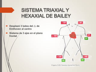 14 electrocardiograma ekg | PPTX