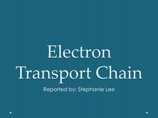 Electron
Transport Chain
Reported by: Stephanie Lee
 