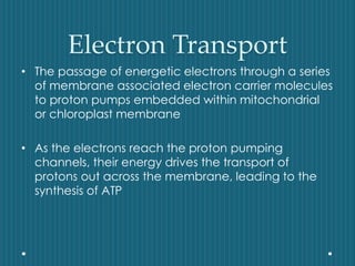 Electron Transport
• The passage of energetic electrons through a series
of membrane associated electron carrier molecules
to proton pumps embedded within mitochondrial
or chloroplast membrane
• As the electrons reach the proton pumping
channels, their energy drives the transport of
protons out across the membrane, leading to the
synthesis of ATP
 