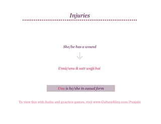 Injuries

She/he has a wound

Usnū/unu ik satt wajji hai

Unu is he/she in casual form

To view this with Audio and practice games, visit www.CultureAlley.com/Punjabi

 
