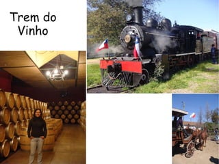 Trem do Vinho 
