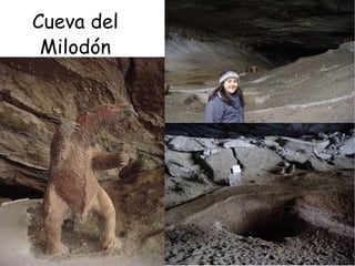 Cueva del Milodón 