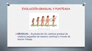Gradualidad 14 Especiación EVOLUCIÓN Darwin y Ev. GRADUAL Y PUNTEADA.pptx
