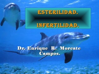 EstErilidad.EstErilidad.
infErtilidad.infErtilidad.
Dr. Enrique R. MorcateDr. Enrique R. Morcate
Campos.Campos.
 