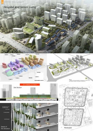 Hospital and Senior Living
Kunming, China
750,000 sqm
*Competition Entry
Masterplan
Site Section
Detail of
the elevation
14 PORTFOLIO Amey Kandalgaonkar
 