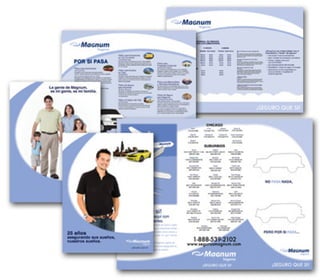 MPalmomo_SanJoseGroup