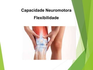 Capacidade Neuromotora
Flexibilidade
 
