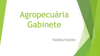 Família Fachini
Agropecuária
Gabinete
 
