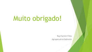 Muito obrigado!
Ruy Fachini Filho
Agropecuária Gabinete
 