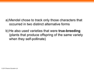 © 2015 Pearson Education Ltd
a) Mendel chose to track only those characters that
occurred in two distinct alternative forms
b) He also used varieties that were true-breeding
(plants that produce offspring of the same variety
when they self-pollinate)
 
