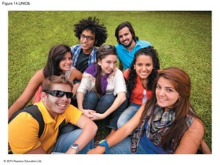 © 2015 Pearson Education Ltd.
Figure 14.UN03b
 