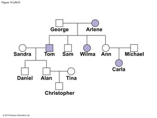 © 2015 Pearson Education Ltd.
Figure 14.UN10
George Arlene
Carla
MichaelAnnWilmaSamTomSandra
Christopher
TinaAlanDaniel
 