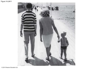 © 2015 Pearson Education Ltd.
Figure 14.UN11
 