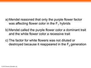 © 2015 Pearson Education Ltd
a) Mendel reasoned that only the purple flower factor
was affecting flower color in the F1 hybrids
b) Mendel called the purple flower color a dominant trait
and the white flower color a recessive trait
c) The factor for white flowers was not diluted or
destroyed because it reappeared in the F2 generation
 