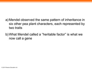 © 2015 Pearson Education Ltd
a) Mendel observed the same pattern of inheritance in
six other pea plant characters, each represented by
two traits
b) What Mendel called a “heritable factor” is what we
now call a gene
 