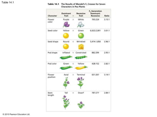 © 2015 Pearson Education Ltd.
Table 14.1
 