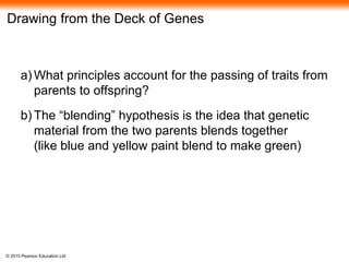 © 2015 Pearson Education Ltd
Drawing from the Deck of Genes
a) What principles account for the passing of traits from
parents to offspring?
b) The “blending” hypothesis is the idea that genetic
material from the two parents blends together
(like blue and yellow paint blend to make green)
 