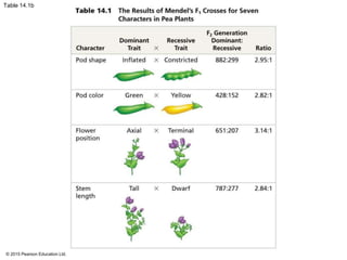 © 2015 Pearson Education Ltd.
Table 14.1b
 
